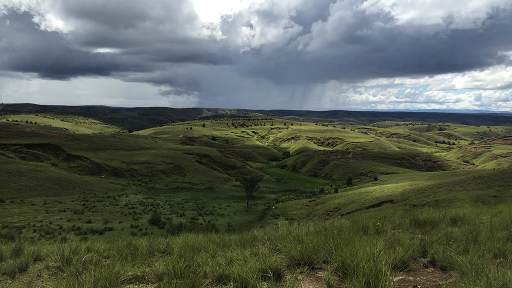 Highlands of Madagascar where Centella grows in valleys occupied by rice fields